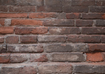 Fototapeta premium texture 1