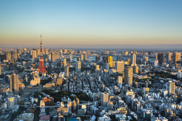 Tokyo city aerial view at the the sunset. Japan.