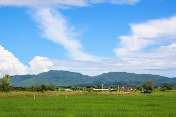 mountain rice field landscapeblue sky