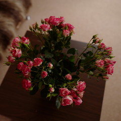 Bouquet of roses on a coffee table