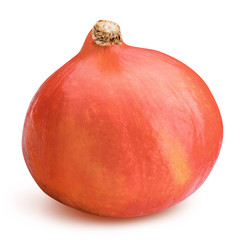Fresh pumpkin isolated with clipping path