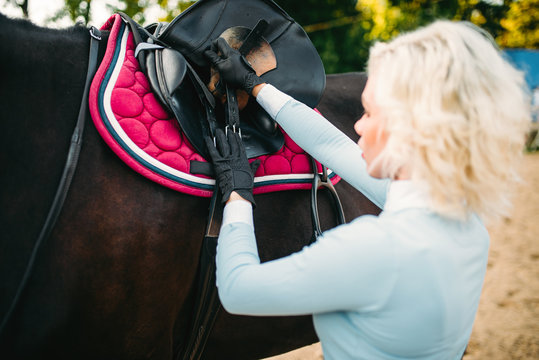 Female rider preparing a horse saddle,