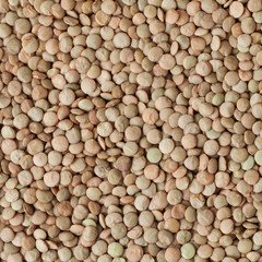 Uncooked lentil background