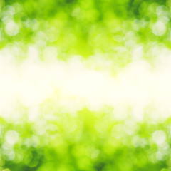 green bokeh