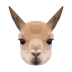 Abstract polygonal llama head. Modern low poly lovely llama portrait pattern background