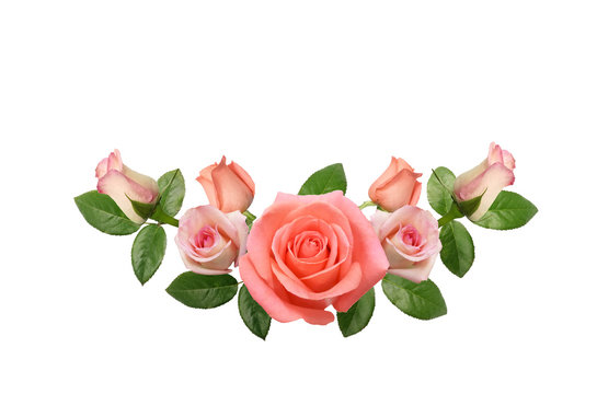 Pink rose flowers arrange on white background.Soft focus.Vintage tone picture. (Clipping path)