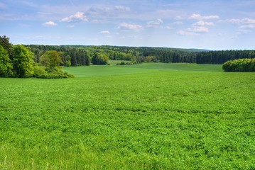 Obraz premium Landschaft mit Wald Wiesen und Feldern im Frühling