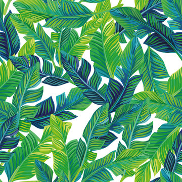 Tropical palm leaves seamless background