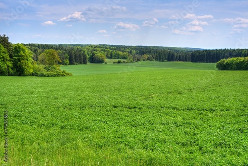 "Landschaft mit Wald Wiesen und Feldern im Frühling" Stockfotos und