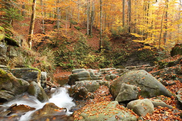 Waterfall in the autumn beech forest