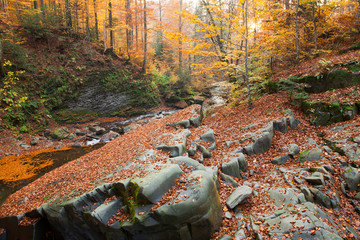 Waterfall in the autumn beech forest