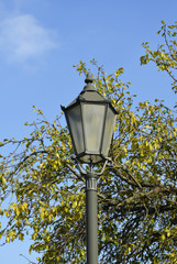 Fototapeta na wymiar Rural scene with an old lantern near a tree in front of blue sky