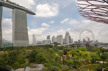 Fototapeta na wymiar Outside gardens in the city in Singapore