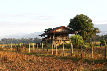 Traditional farmer's village in the rice field in Vang vieng, Laos