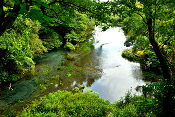 Spring spring pond