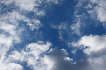 青空と雲「空想・雲のモンスターたち」