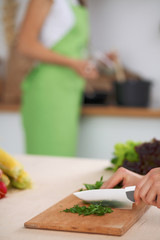 Close-up of human hands cooking vegetables salad in kitchen. Healthy meal and vegetarian concept