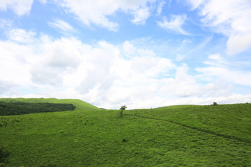 山口県美祢市　秋吉台