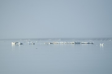 The coast of the arctic island in the fog