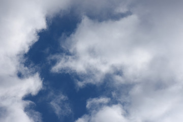 Fototapeta na wymiar 青空と雲「空想・雲のモンスターたち」（言いわけをする、質問する、議論する、言い聞かす、討論、諭す、対話などのイメージ）