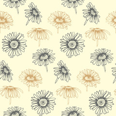 Seamless vector pattern with hand drawn daisy flowers. Design for covers, textile, packaging