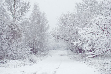 Winter road through snowy forest with snowflakes on the tree branches. Snowfall. Winter landscape.