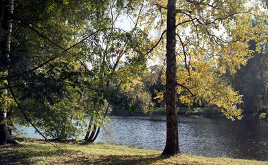 Pictures of autumn. Autumn nature in the city.