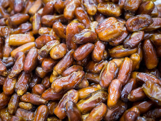 Oman tropical palm dates, close up