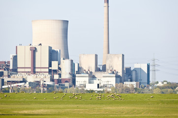Farm In Front Of Industry Skyline
