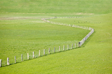 Fototapeta na wymiar Fence Through Meadow
