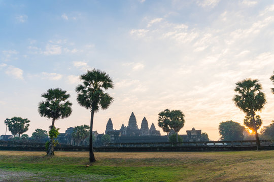 Angkor wat and palm tree in the morning at siem reap cambodia