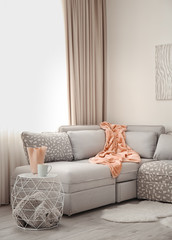 Modern interior with comfortable sofa