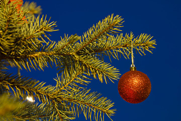Fototapeta na wymiar Outdoor Christmas Tree At Night