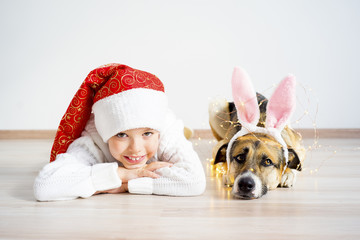 Christmas with a dog