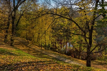 Przemyśl park. Jesień