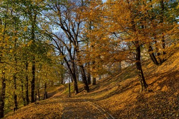 Przemyśl park. Jesień