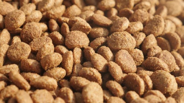 Panning over pet dry food close-up footage - Pile of cat or dog pellets slow pan