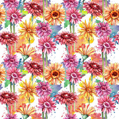 Wildflower gerbera flower pattern in a watercolor style. Full name of the plant: gerbera. Aquarelle wild flower for background, texture, wrapper pattern, frame or border.