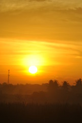 Fototapeta premium Sunrise
