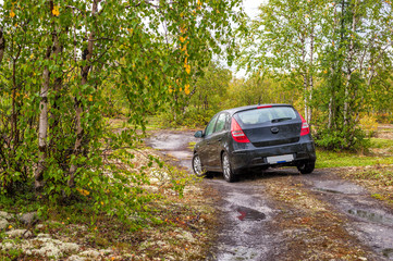 Fototapeta na wymiar black car in the forest after rain