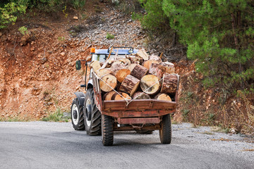 Tractor transporting cargo with wooden logs