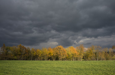 Stormy dark clouds over the trees and field. The fall scene