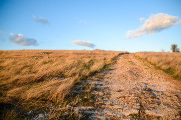 Hay field in Bulgaria