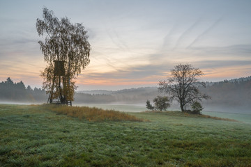 Foggy Sunrise