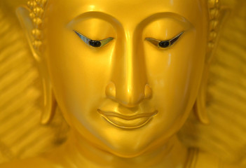 buddha, shine, wisdom, sculpture, oriental, pray, wise, enlightenment, statue, culture, symbol, head, god, gild, light, east, spiritual, buddhism, asia, portrait, eyes, illustration, zen, face, gold, 