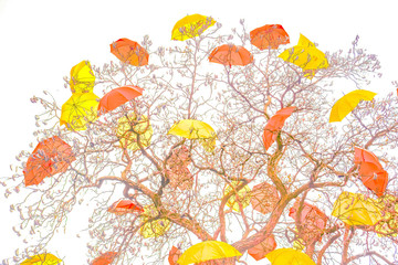 Umbrellas on the tree horizontal photo glamor