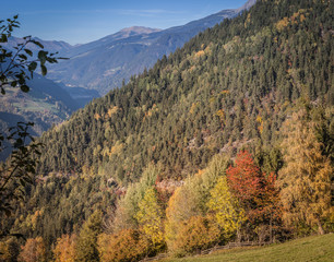 Autumnal foliage in Sarentino Valley, South Tyrol, Italy