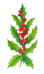 Fototapeta premium Watercolor illustration of holly