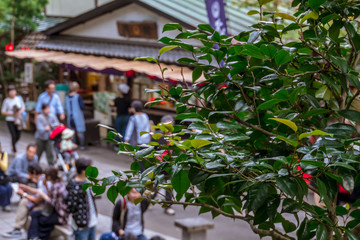 東京　深大寺　参道の雑踏４