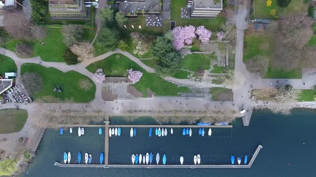 rives du lac de Zurich - Suisse